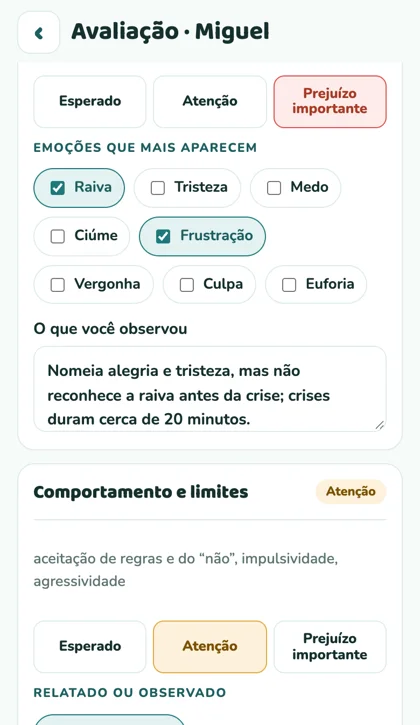 Tela do app: avaliação por área
